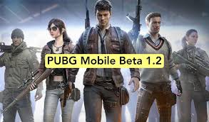 PUBG 1.2 Beta APK icon
